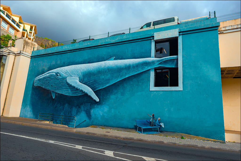 9. Madeira: Ribeira Brava & Funchal (Frutas e Portas)