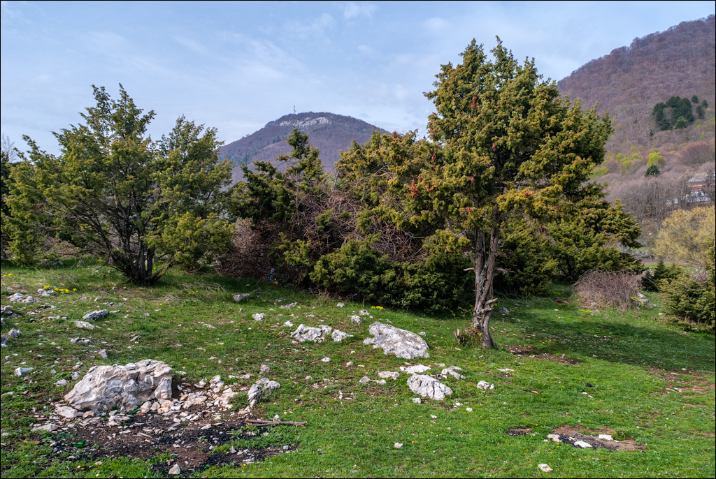 Titana Dajti April2009 20080417069