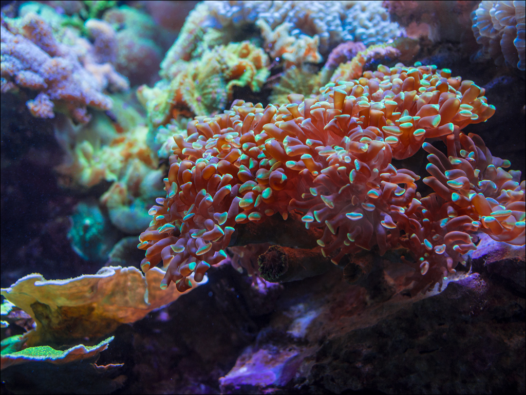 Salzburg 20180101039