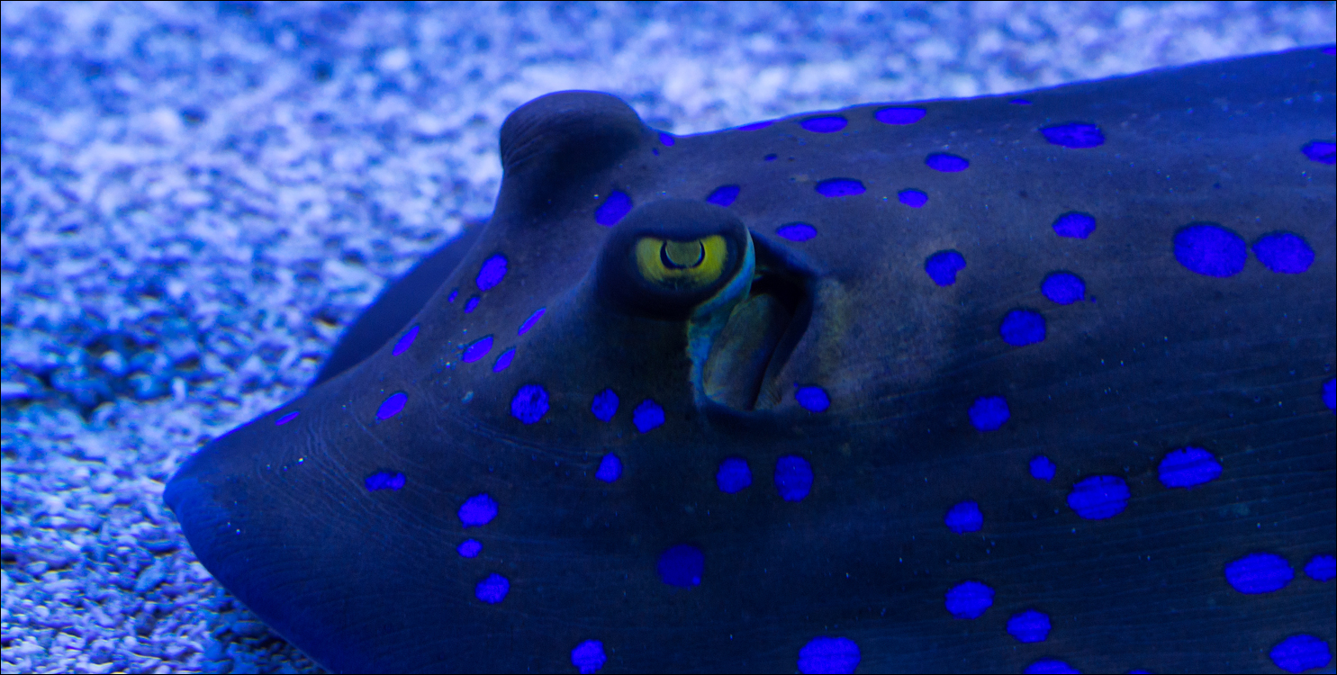 Salzburg 20180101042