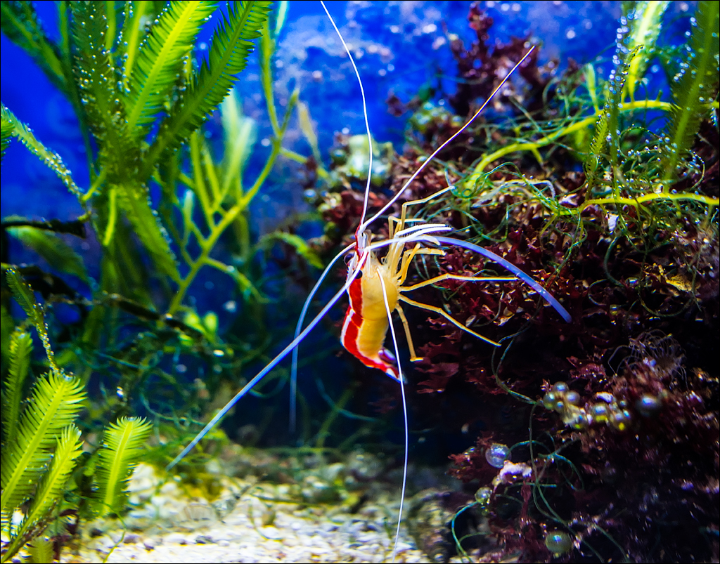 Salzburg 20180101043