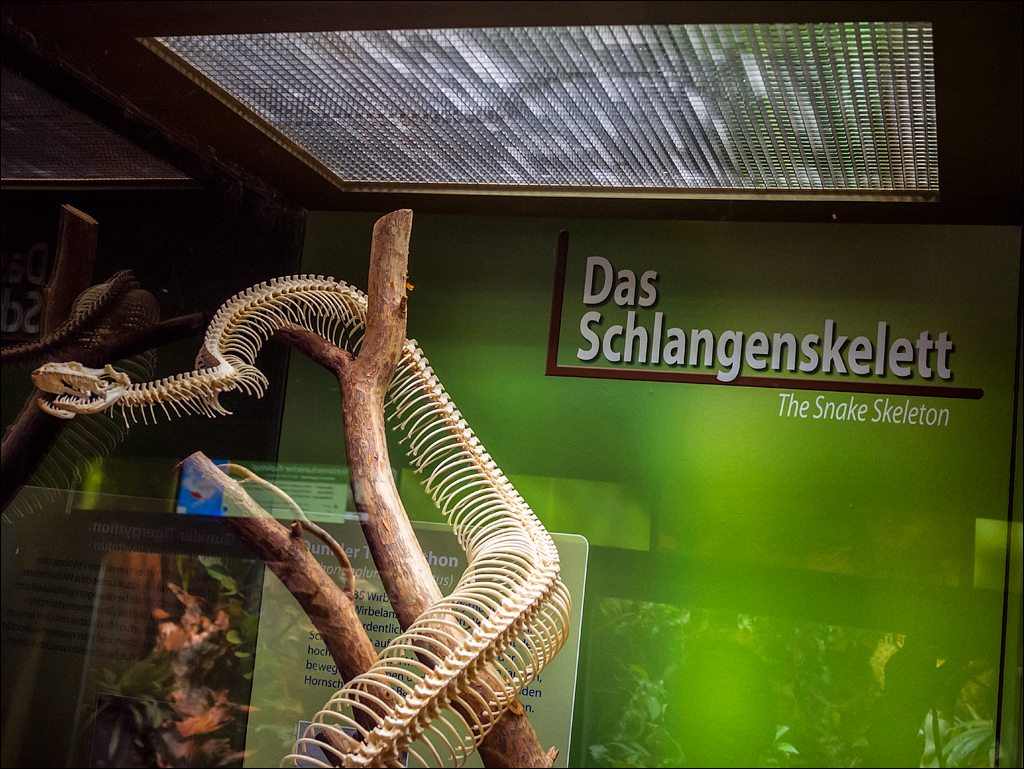 Salzburg 20180101049