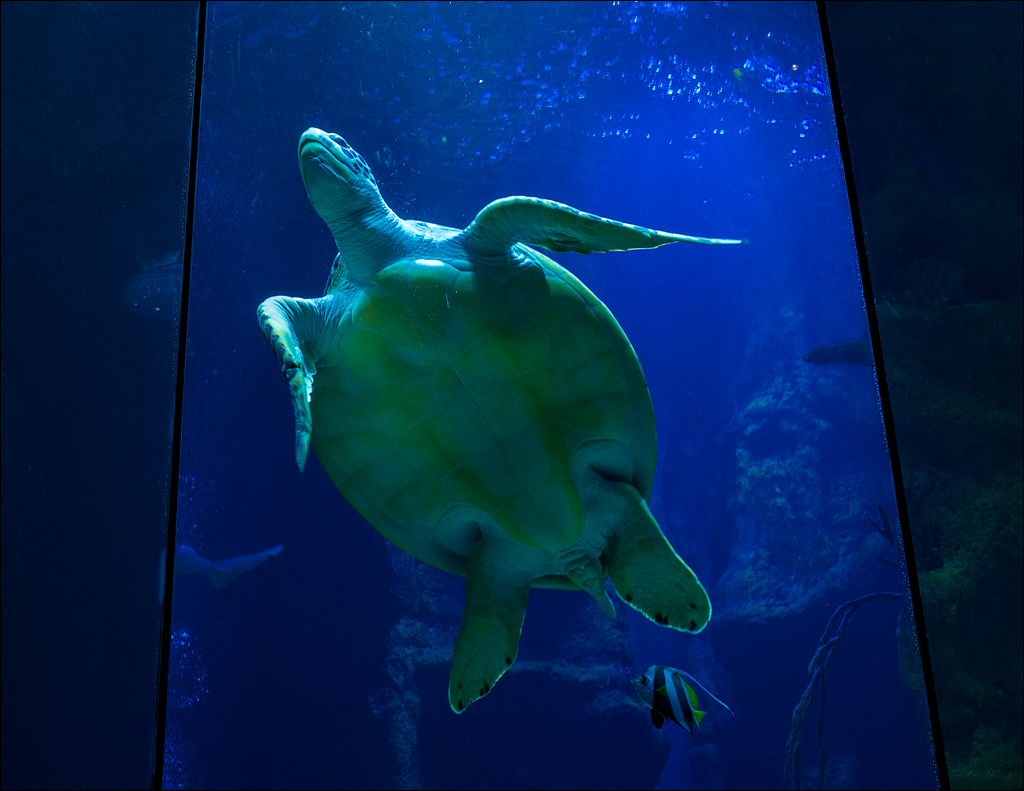 Vienna 2 20180101103