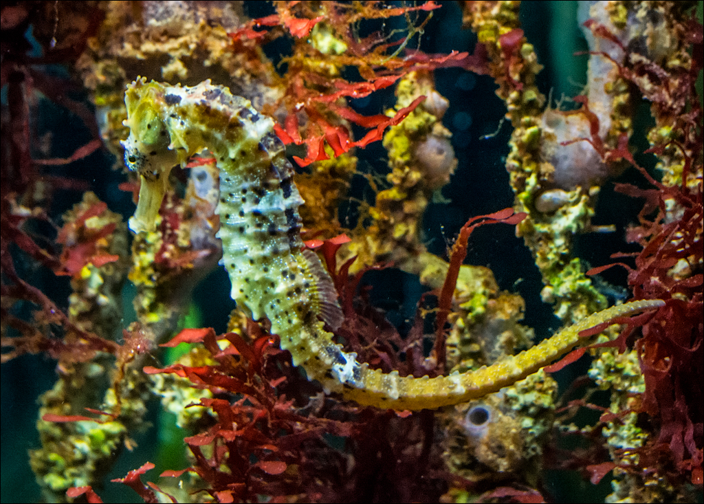 Vienna 2 20180101105