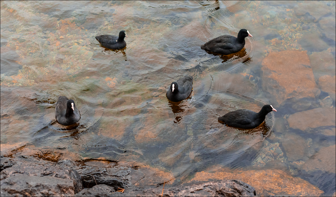 Zell am See 20180101099