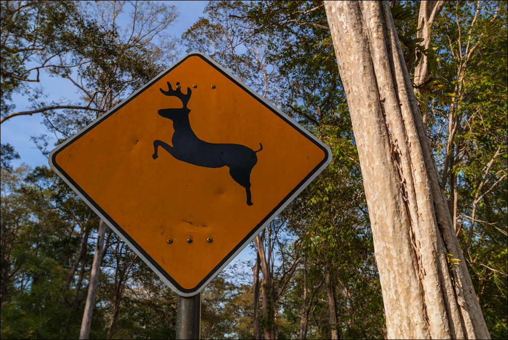 Angkor Wat Nov2009 073