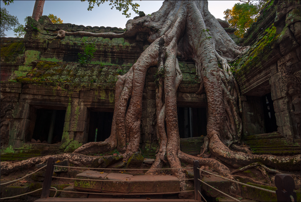 3. Cambodia '2009. Ta Prohm Complex.