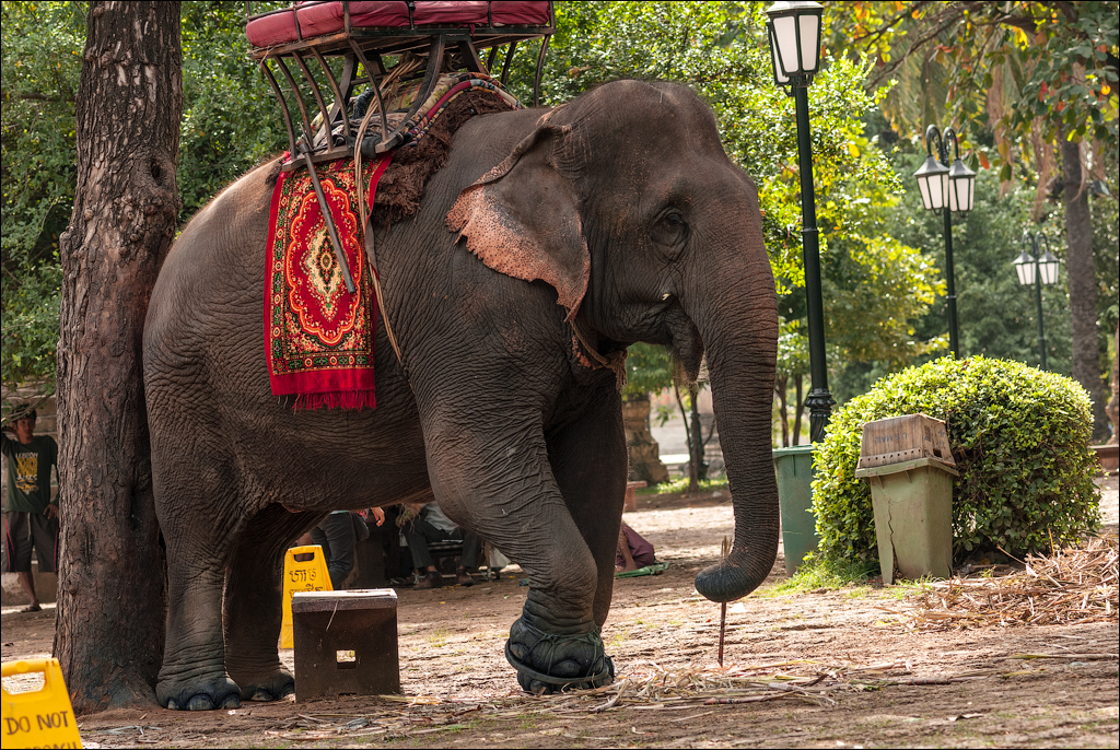 PhnomPehn TonleSap Nov2009 002