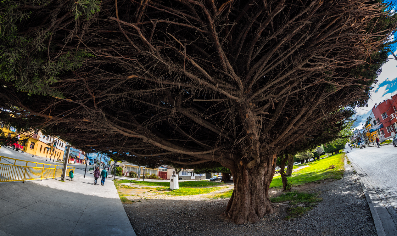 PuntaArenas R3 20181125 6068