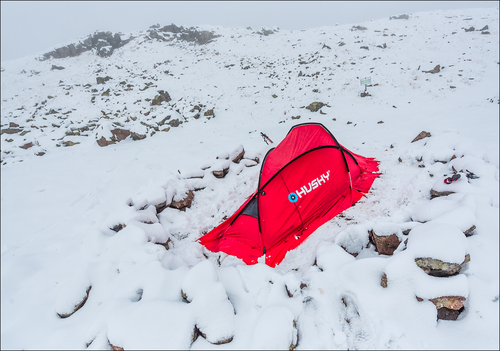 Georgia 16092412361883