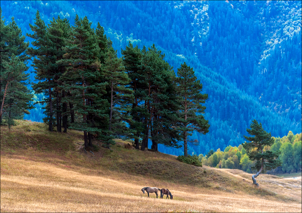 Georgia 160928083256273