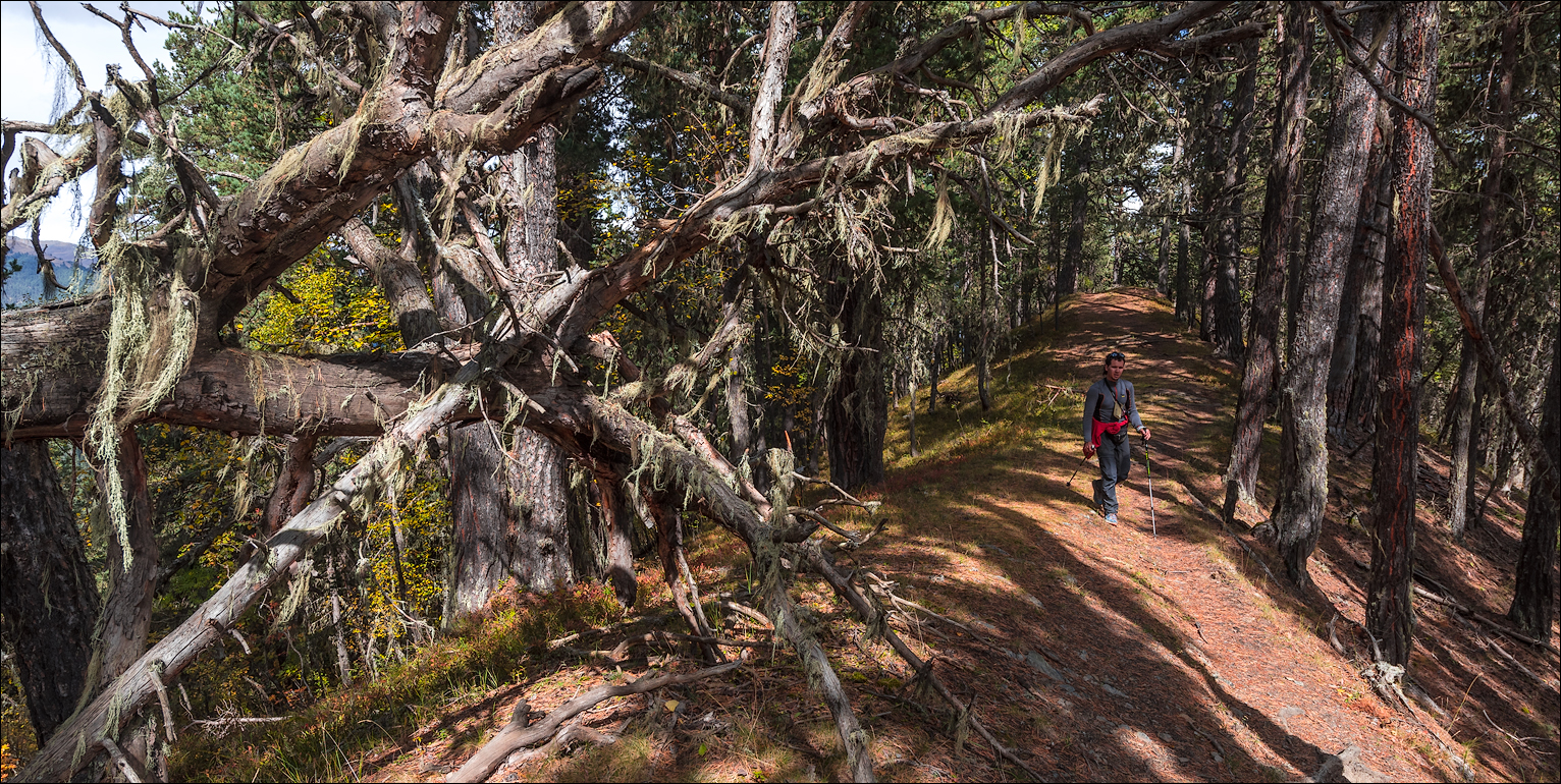 Georgia 160928112559308