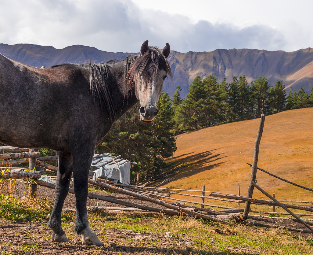 Georgia 160928121125317