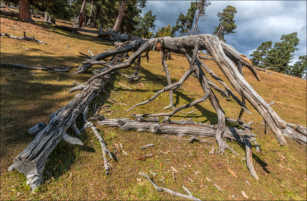 Georgia 160928122148319