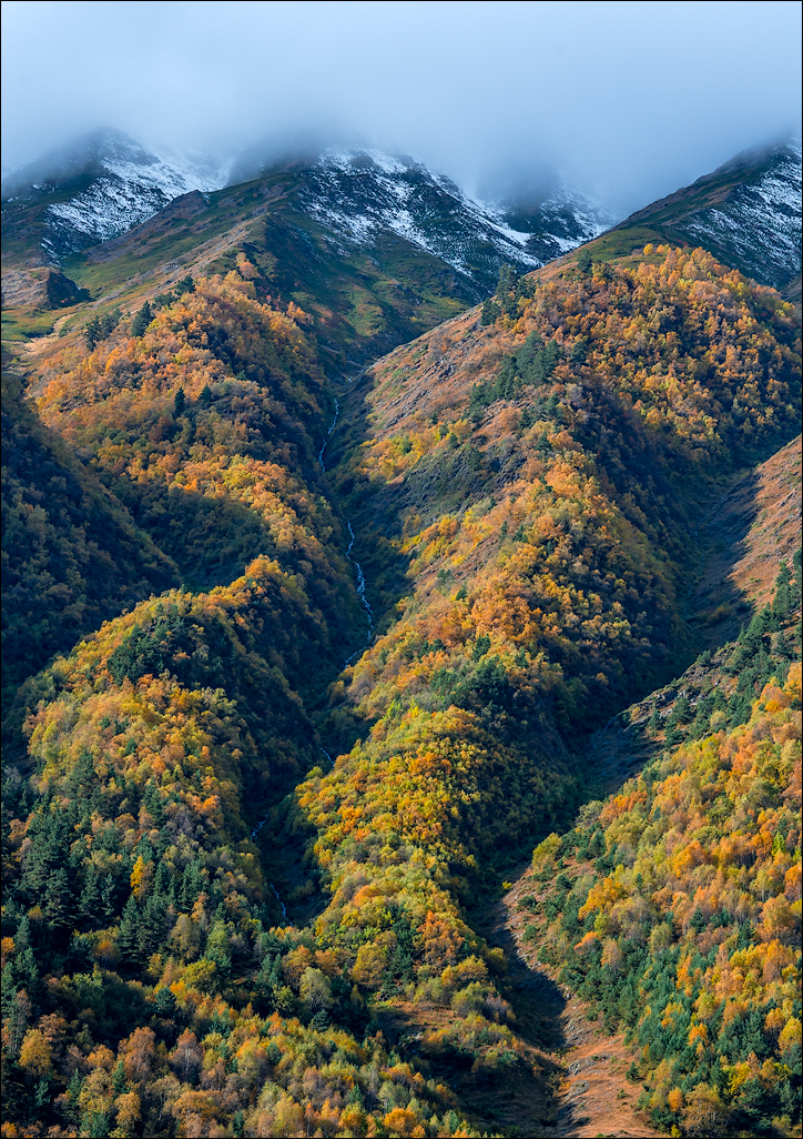 Georgia 160930073352500