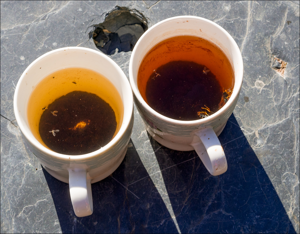 Georgia 160930081346511