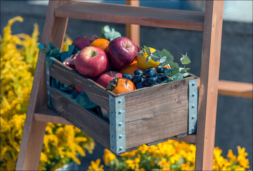 Georgia 161002102849924