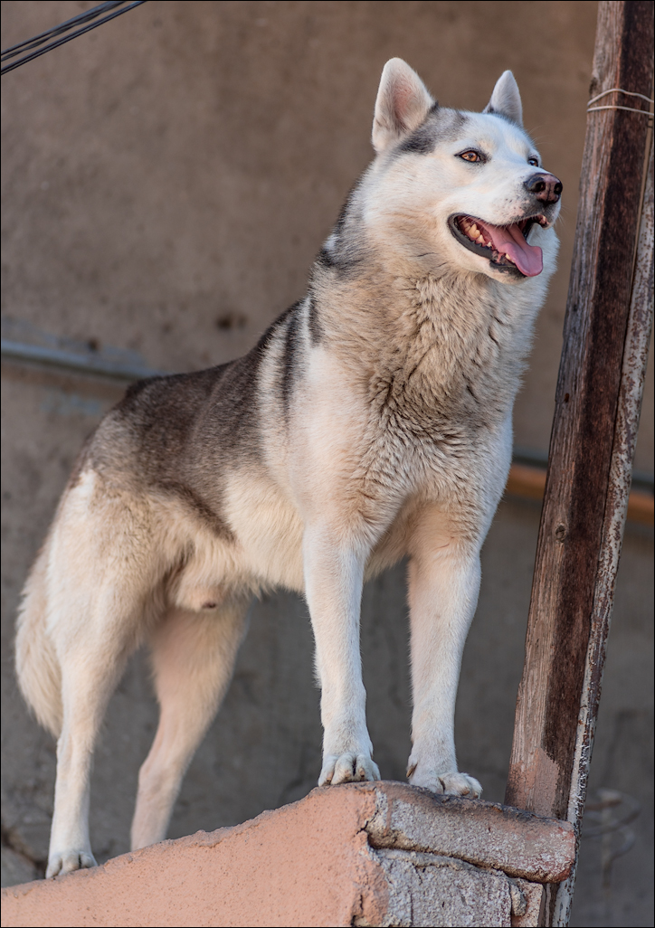 Georgia 161002071106843