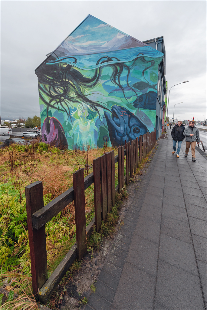 Reykjavik1 04012020 102