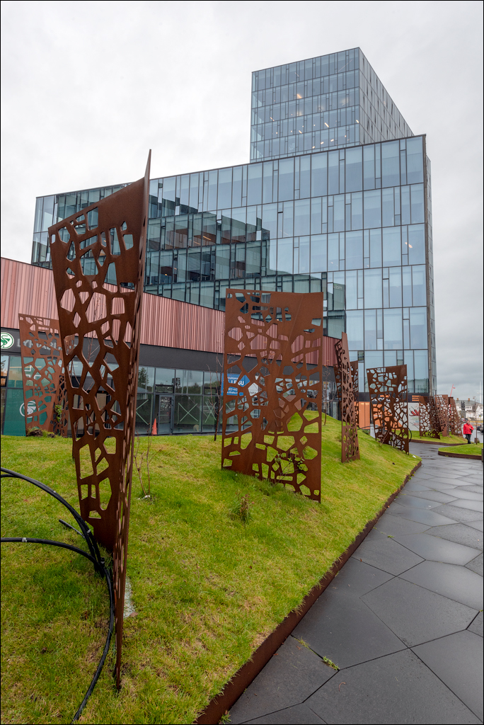 Reykjavik1 04012020 109