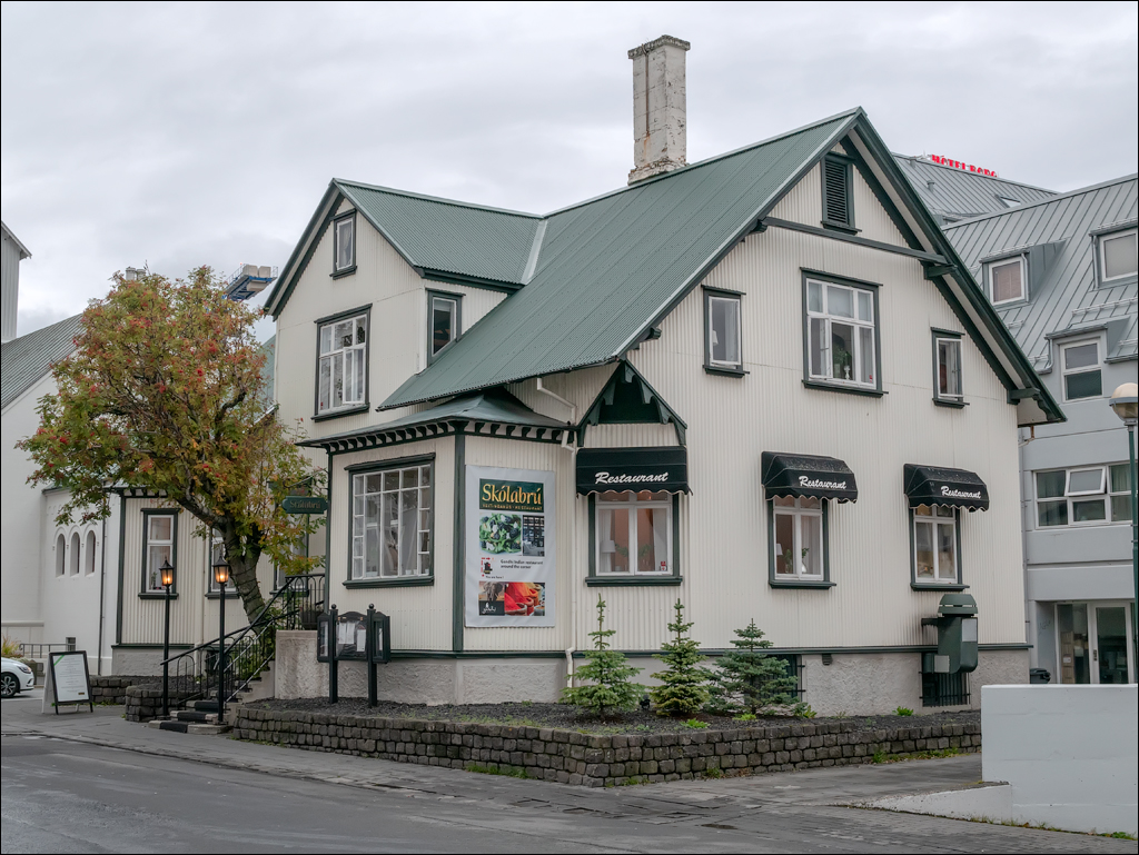 Reykjavik2 04012020 227