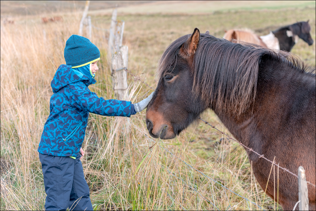 Iceland6 04012020 159