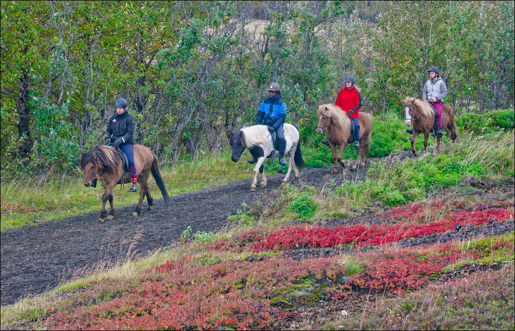 RaudholarCalgahraun 2023 105