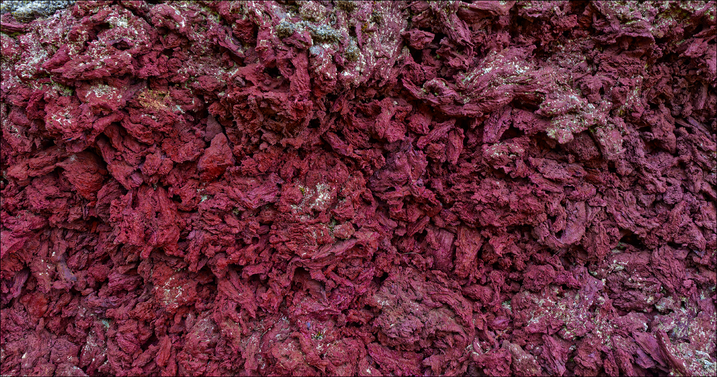 RaudholarCalgahraun 2023 133