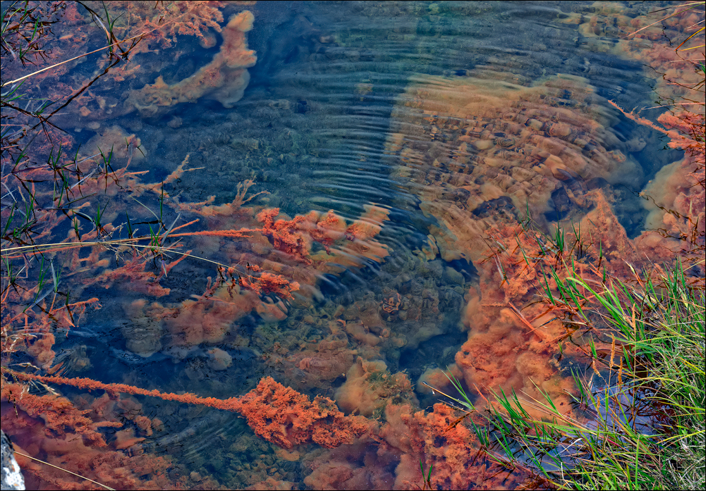 RaudholarCalgahraun 2023 138