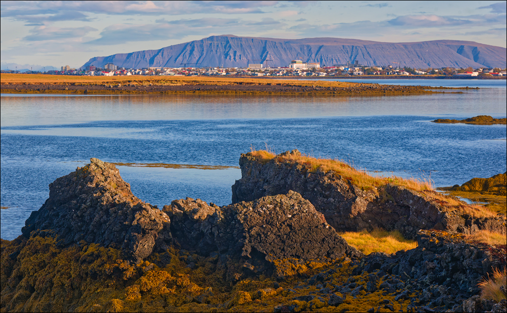 RaudholarCalgahraun 2023 153