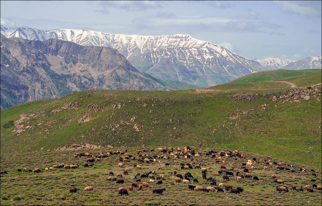 Iran20160505080152221