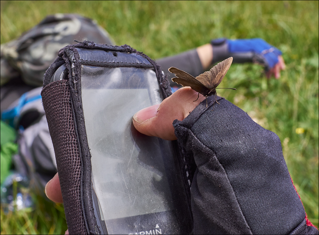 Dolomites 2017 5 173173