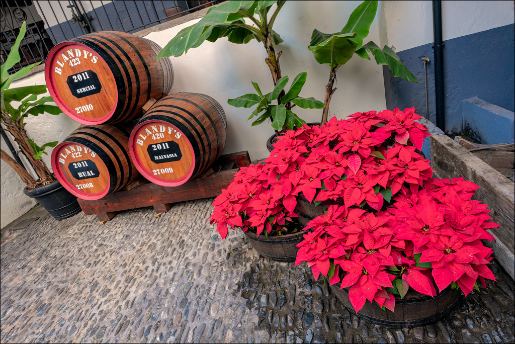 Madeira 24dec2024 08jan2025 188 00