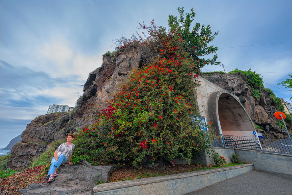 Madeira 24dec2024 08jan2025 112 00