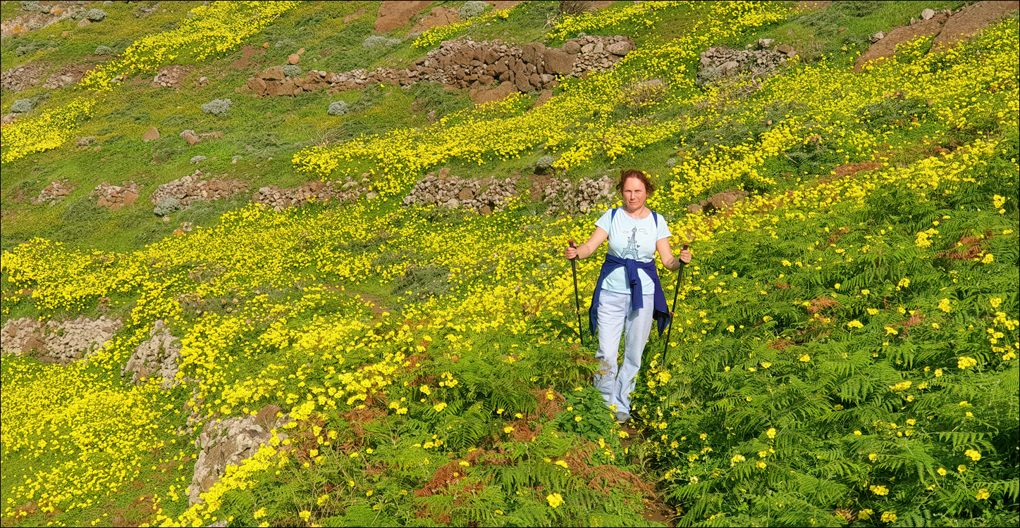 Madeira 24dec2024 08jan2025 135 00