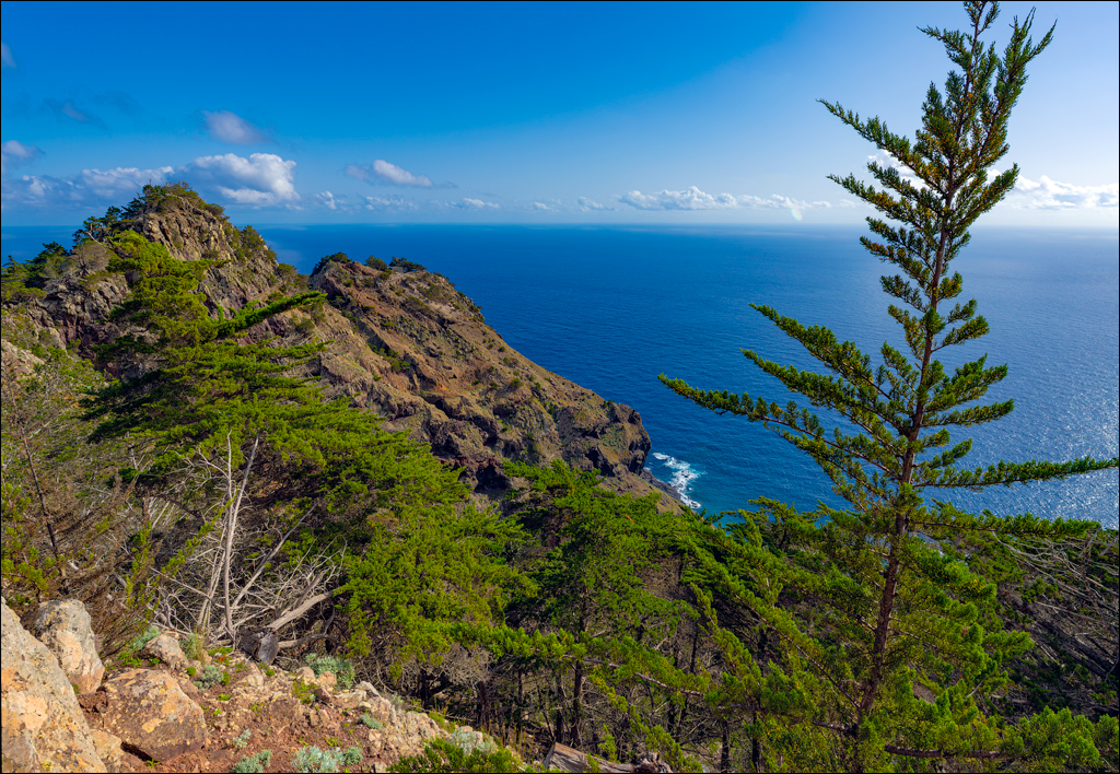 Madeira 24dec2024 08jan2025 141 00