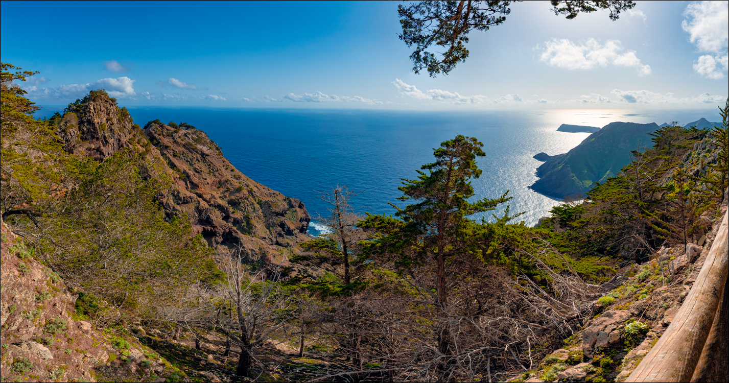 Madeira 24dec2024 08jan2025 144 00