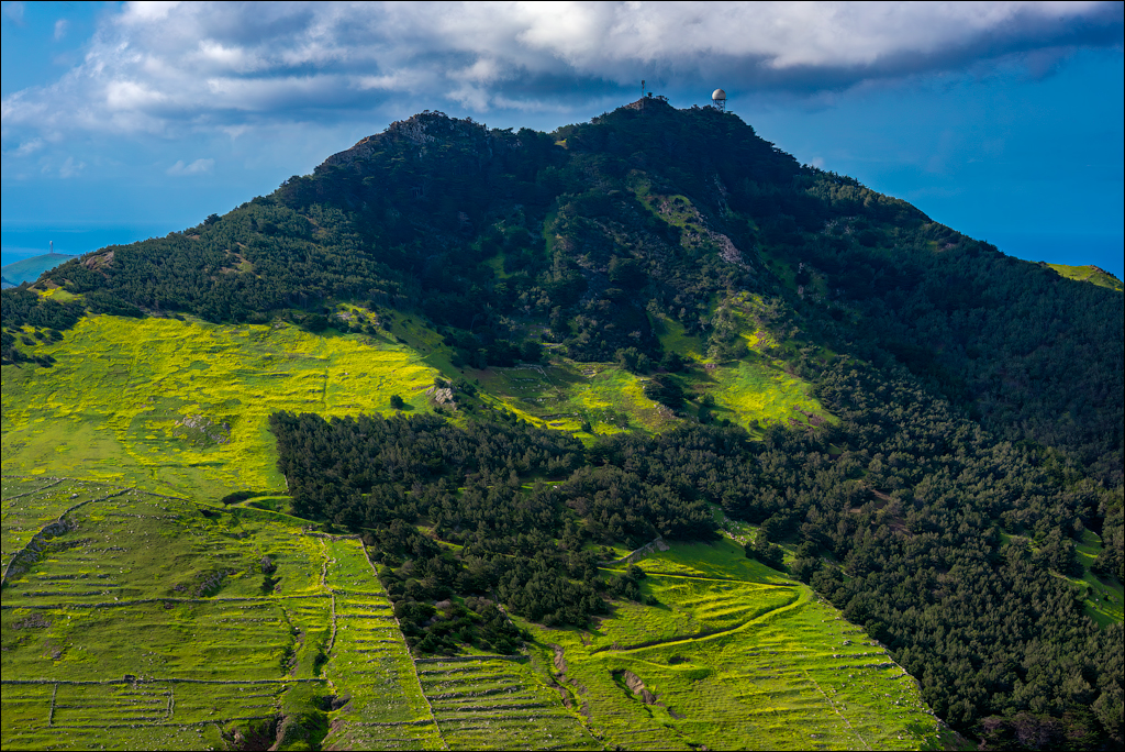 Madeira 24dec2024 08jan2025 155 00