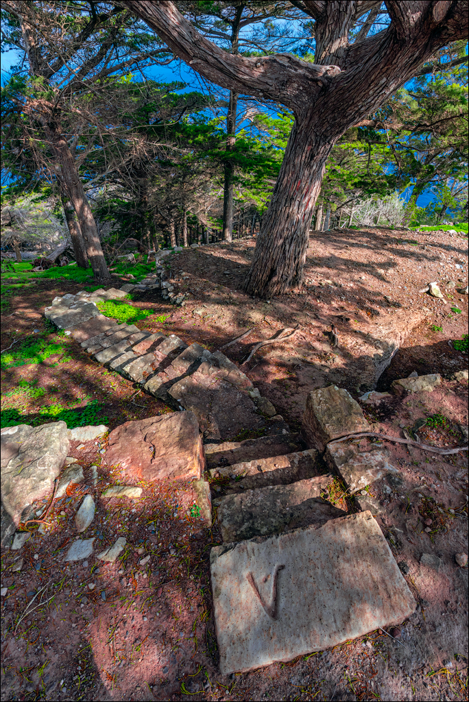 Madeira 24dec2024 08jan2025 169 00