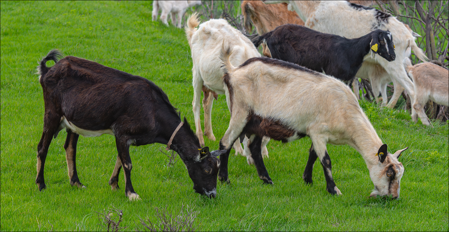 2Madeira 24dec2024 08jan2025 106 00