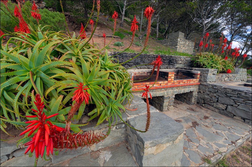 2Madeira 24dec2024 08jan2025 114 00