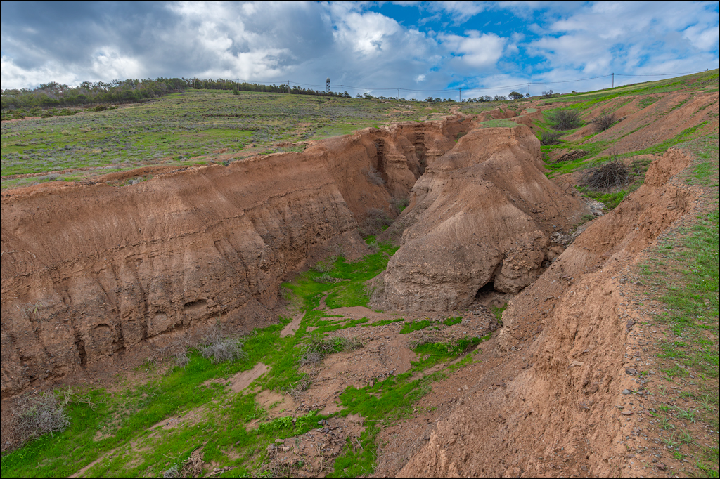 2Madeira 24dec2024 08jan2025 158 00