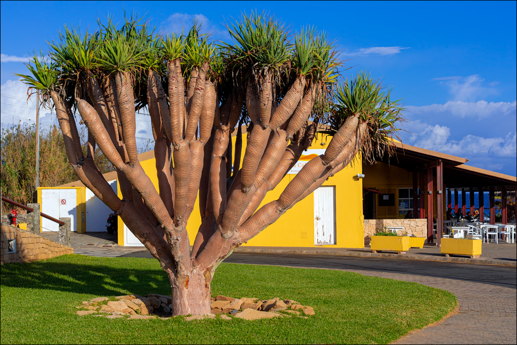 2Madeira 24dec2024 08jan2025 173 00