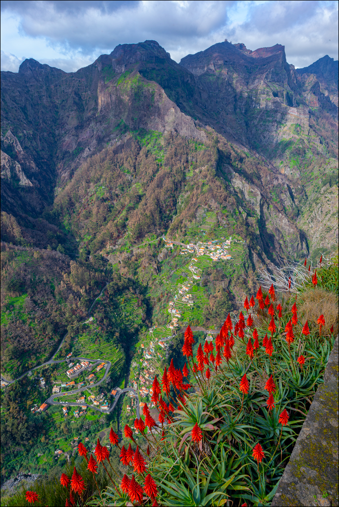 Madeira 24dec2024 08jan2025 116 00