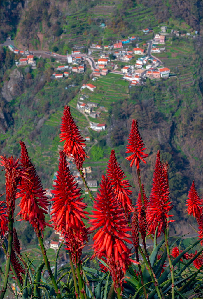 Madeira 24dec2024 08jan2025 125 00