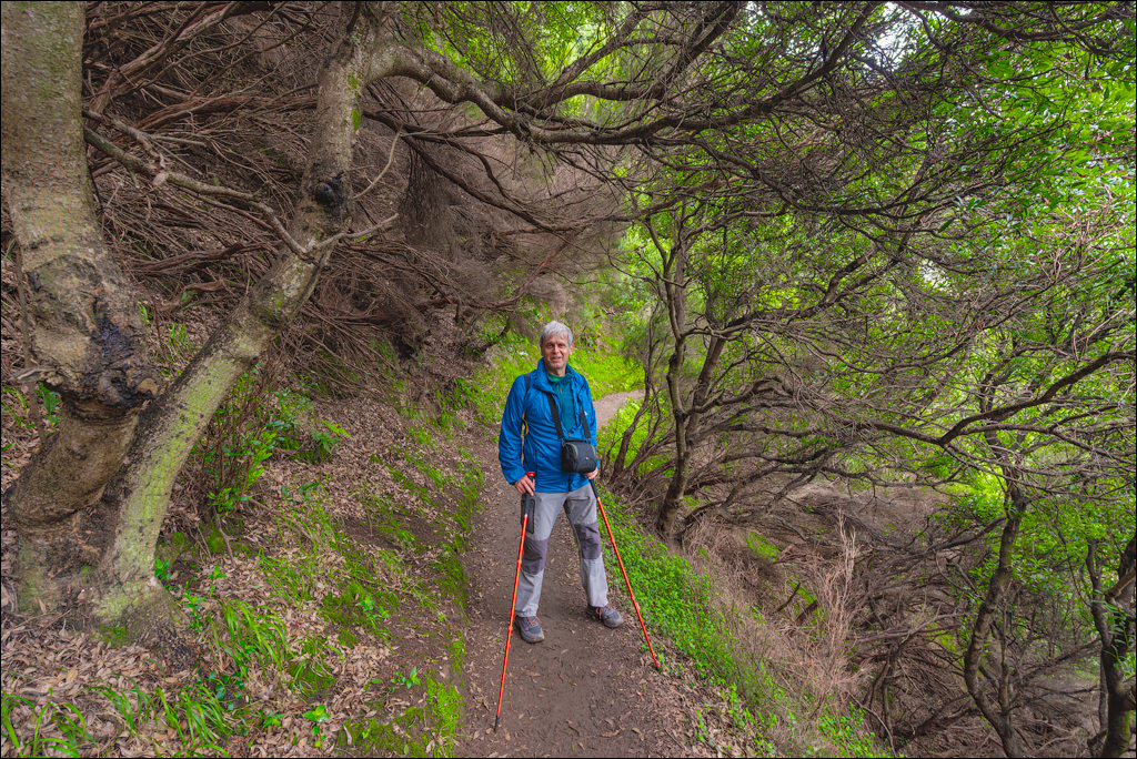 Madeira 24dec2024 08jan2025 195 00
