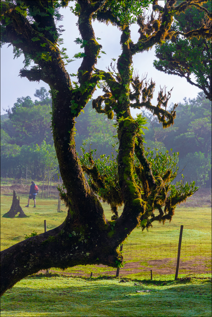 Madeira 24dec2024 08jan2025 114 00