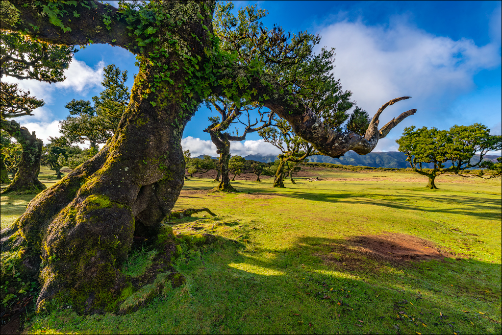 Madeira 24dec2024 08jan2025 126 00