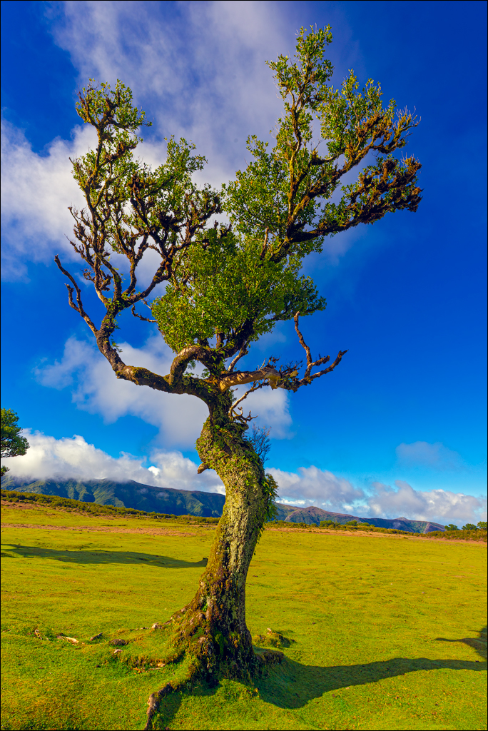 Madeira 24dec2024 08jan2025 132 00