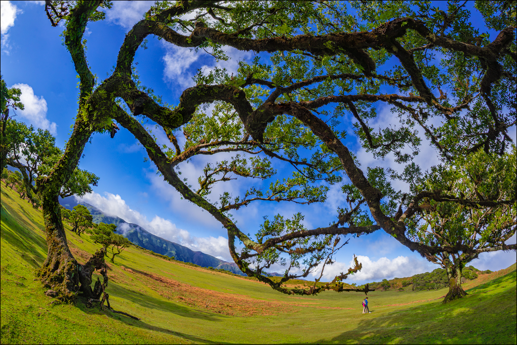 Madeira 24dec2024 08jan2025 133 00